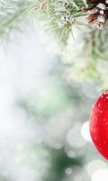 C'était la fête de Noël (et c'était chouette !)